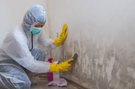 Best Attic Mold Removal  in Huntington Station, NY